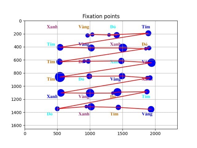 Bản đồ đường quét mắt thu được từ hệ thống theo dõi chuyển động mắt của người bình thường khi thực hiện bài kiểm tra Hiệu ứng Stroop, một trong những bài kiểm tra được dùng để chẩn đoán chứng khó đọc ở trẻ. Ảnh: Nhóm nghiên cứu.